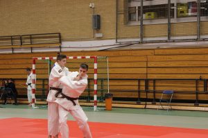 Champ. Bel Katas - Action