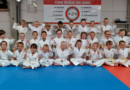 Stage judo/psychomotricité avec nos petits champions !