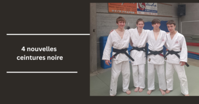 4 nouvelles ceintures noires
